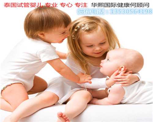 业内代怀孕领导品牌_包成功广州助孕中心
