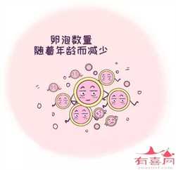 代怀孕最靠谱机构_中国第一代孕机构