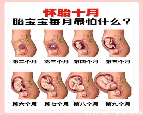 代孕怎么生孩子-泰国代孕的多少钱_检查宝宝发育状态的四大妙招