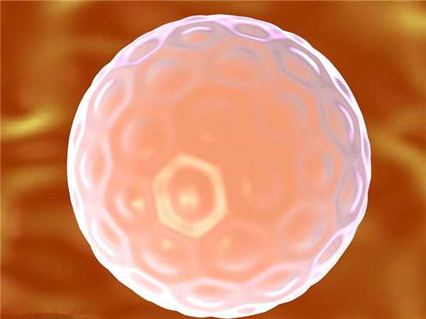 养囊成功的优质胚胎解冻后会降级吗？
